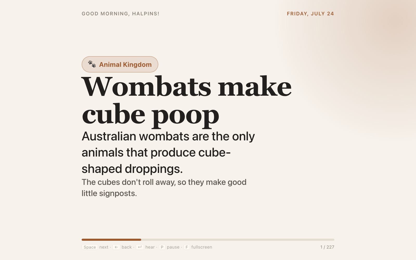 The wombat card, as it appears on the kitchen TV: "Wombats make cube poop — Australian wombats are the only animals that produce cube-shaped droppings."